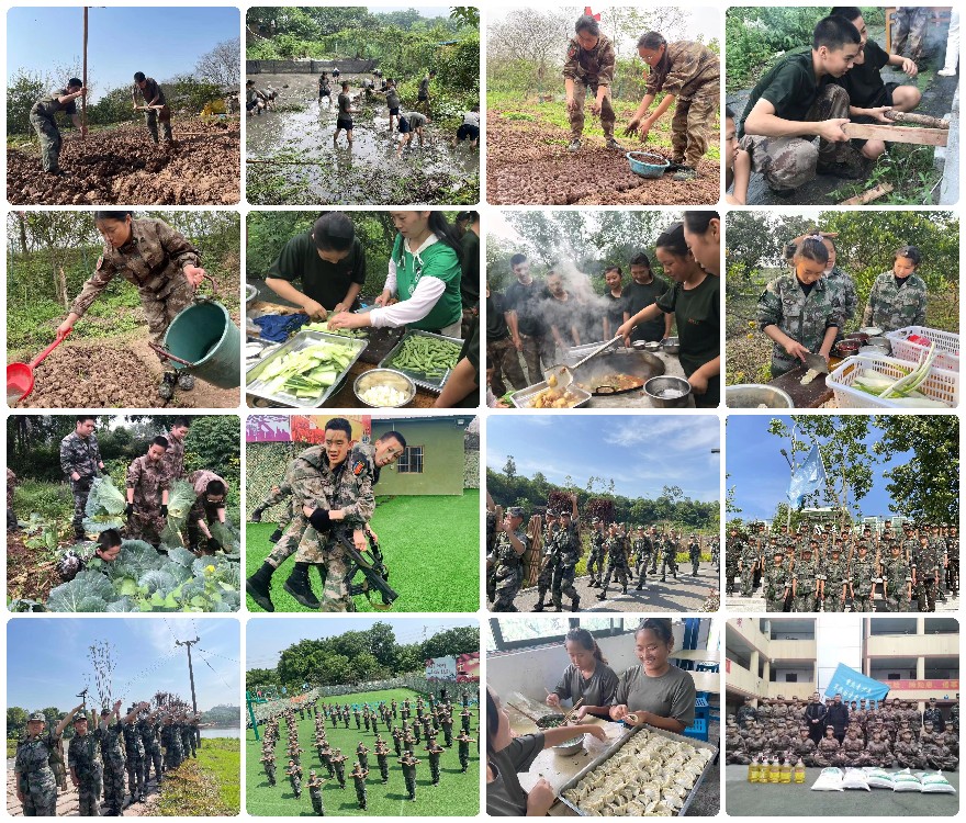 2024排名盘点,四川十大正规叛逆青少年特训学校排行榜更新